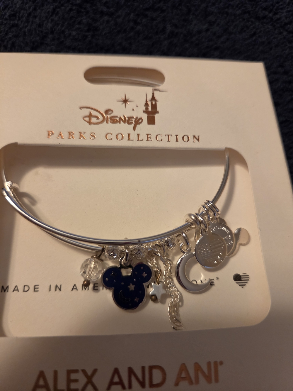 Disney Parks Alex and Ani Silver Charm Bangle
